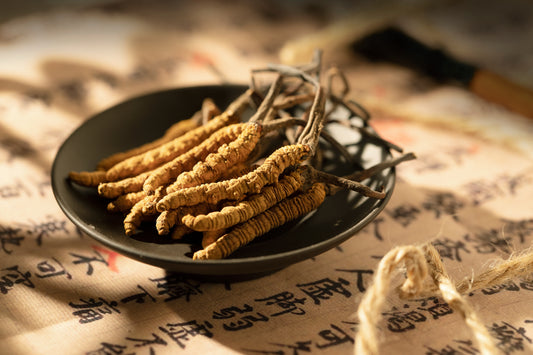 Forest Magic for Endurance and Immunity