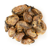 Japanese Dried Oyster L #380