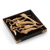 美国野山参#821 (1两)