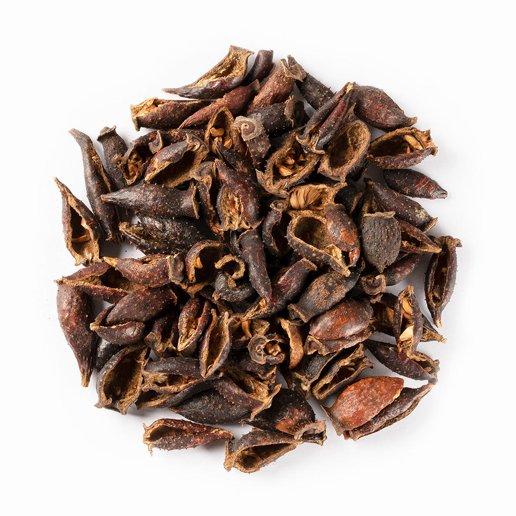 cherokee rose seeds Cherokee Rose Fruit / Jin Ying Zi 16oz – Wing Hop Fung 永合豐