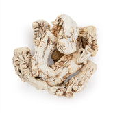 原色 當歸頭 S 8oz