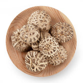 Selected Dried Mushroom 4~5cm