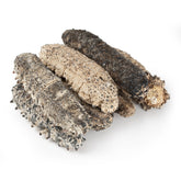 墨西哥刺參 #697