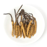 野生 冬蟲夏草(105-122條/兩)