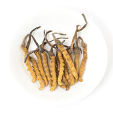 野生 冬蟲夏草(92~106條/兩)