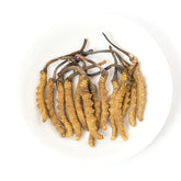 珍品 野生 冬蟲夏草#3643(80~92 條/兩)