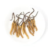 野生 冬蟲夏草(約150-160條/兩)