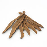Sliced Black Lingzhi/Ganoderma Lucidum/reishi 永合丰 黑 灵芝片(10oz)