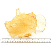 永合丰 南美蝴蝶肚 鱼肚 花膠