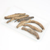 Alaska Wild Sea Cucumber #431