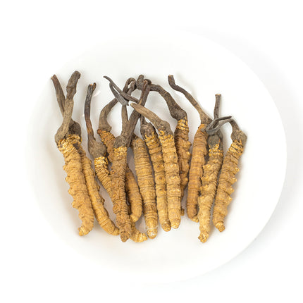 Premium Tibetan Cordyceps  (68~78 pcs/Tael)