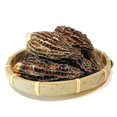Yunnan specialty Shan Zhen Morel Mushrooms
