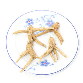 American Ginseng Prong-S #828