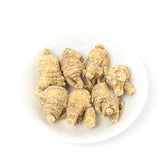 American Ginseng Short-XL #886