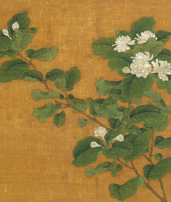 Fragrance of summer-Jasmine Tea