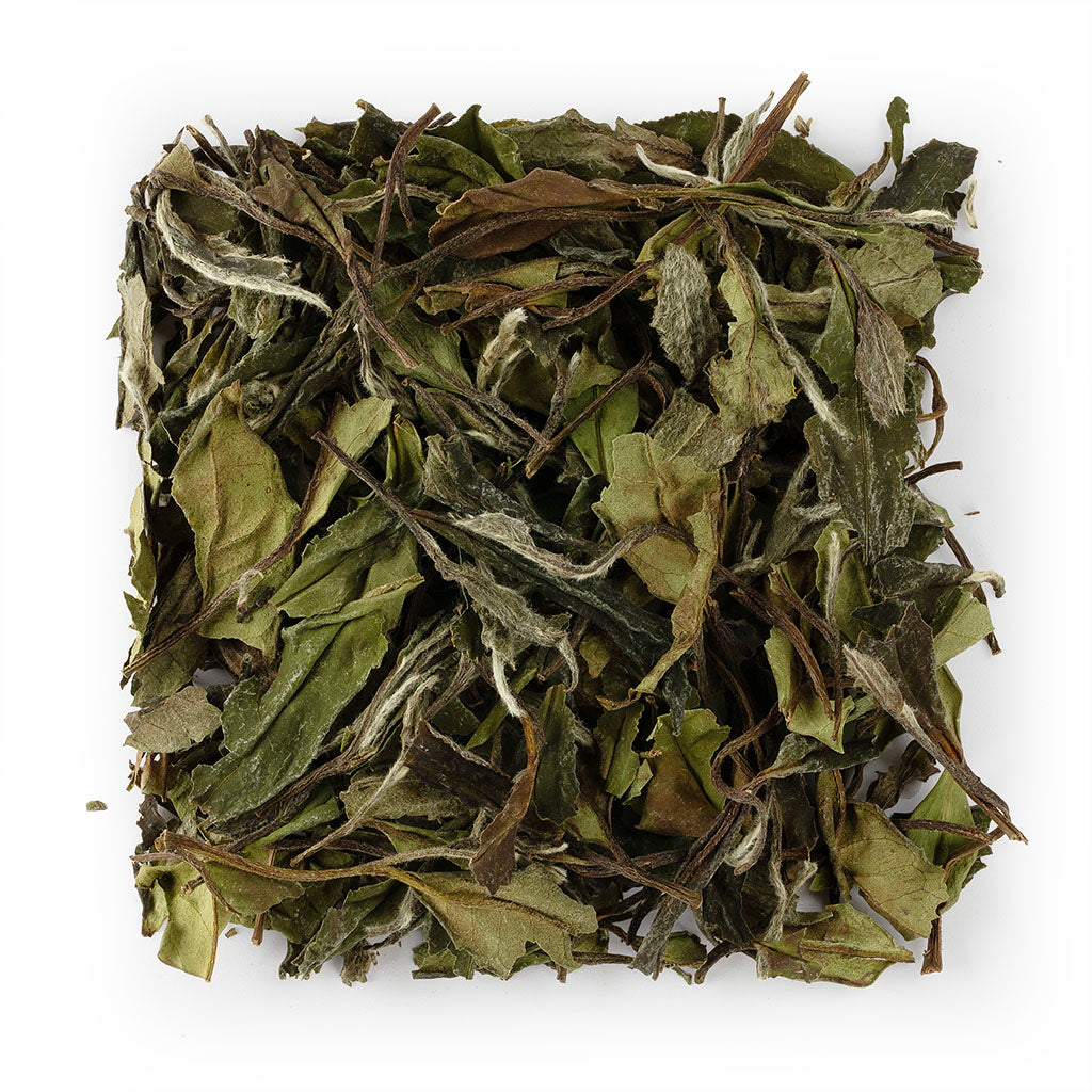 2016 Supreme White Peony(Shoumei) White Tea #1128
