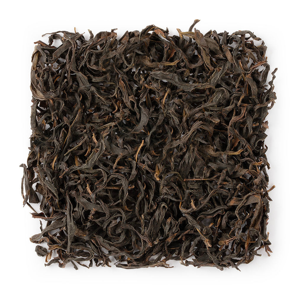 凤凰单丛杏仁菊多在乌龙茶 #1396 