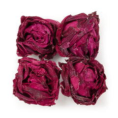 Dried Dark Red Rose