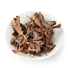 Anoectochilus / Jin Xian Lian