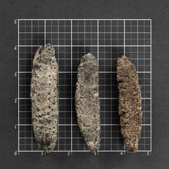 海参#697（16oz）