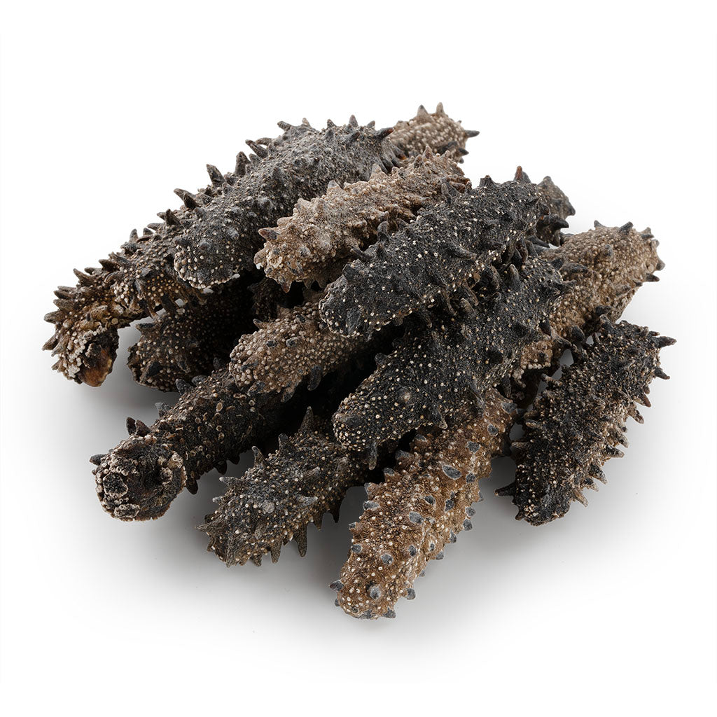 特级日本北海道刺参 #538