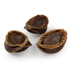 日本千叶干鲍 16~18g #606