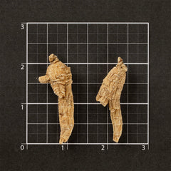 Semi-wild American Ginseng Short-M #708