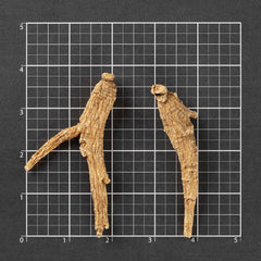 半野生 美国威州花旗蔘 长支-L #721