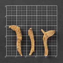 半野生 美国威州花旗蔘 长支-L #721