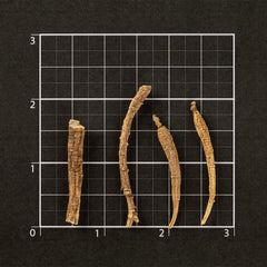 纽约加士基山 野山花旗参 #759 (1两)