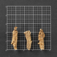 Semi-wild American Ginseng Short-L #826