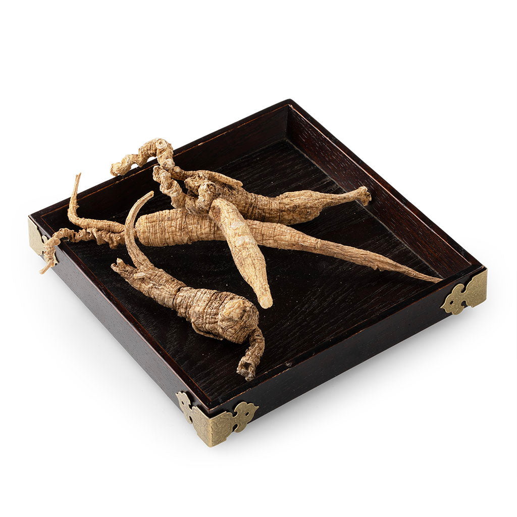 American Wild Ginseng #818 (1 Tael)