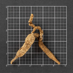 American Wild Ginseng #818 (1 Tael)