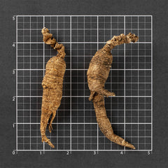 American Wild Ginseng #854 (1 Tael)