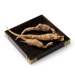 American Wild Ginseng #854 (1 Tael)