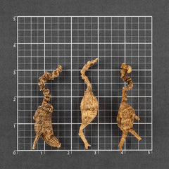 纽约加士基山 野山花旗参 #856 (1两)