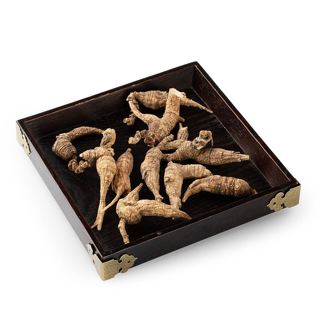 American Wild Ginseng #832 (1 Tael)