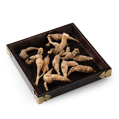 American Wild Ginseng #832 (1 Tael)