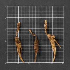 美国野山参#818 (1两)