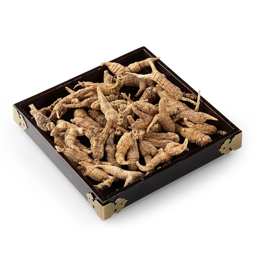 American Wild Ginseng Gift Box AAAAA(4 oz/Box)