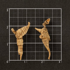 American Wild Ginseng Gift Box AAAAA(4 oz/Box)