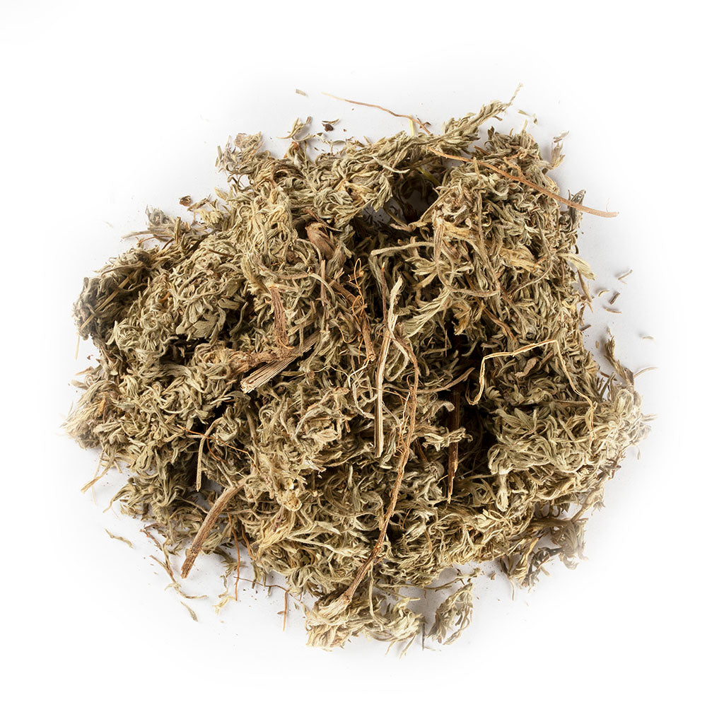绵茵陈 茵陈蒿 8oz