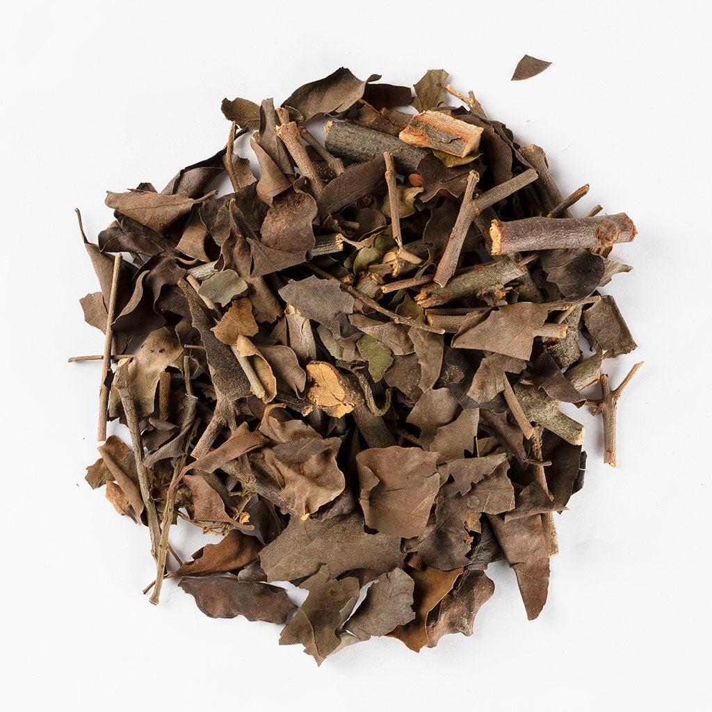 Kweifeng Ji Sheng Cha / Dried Ramulus Taxilli (500g/Box)