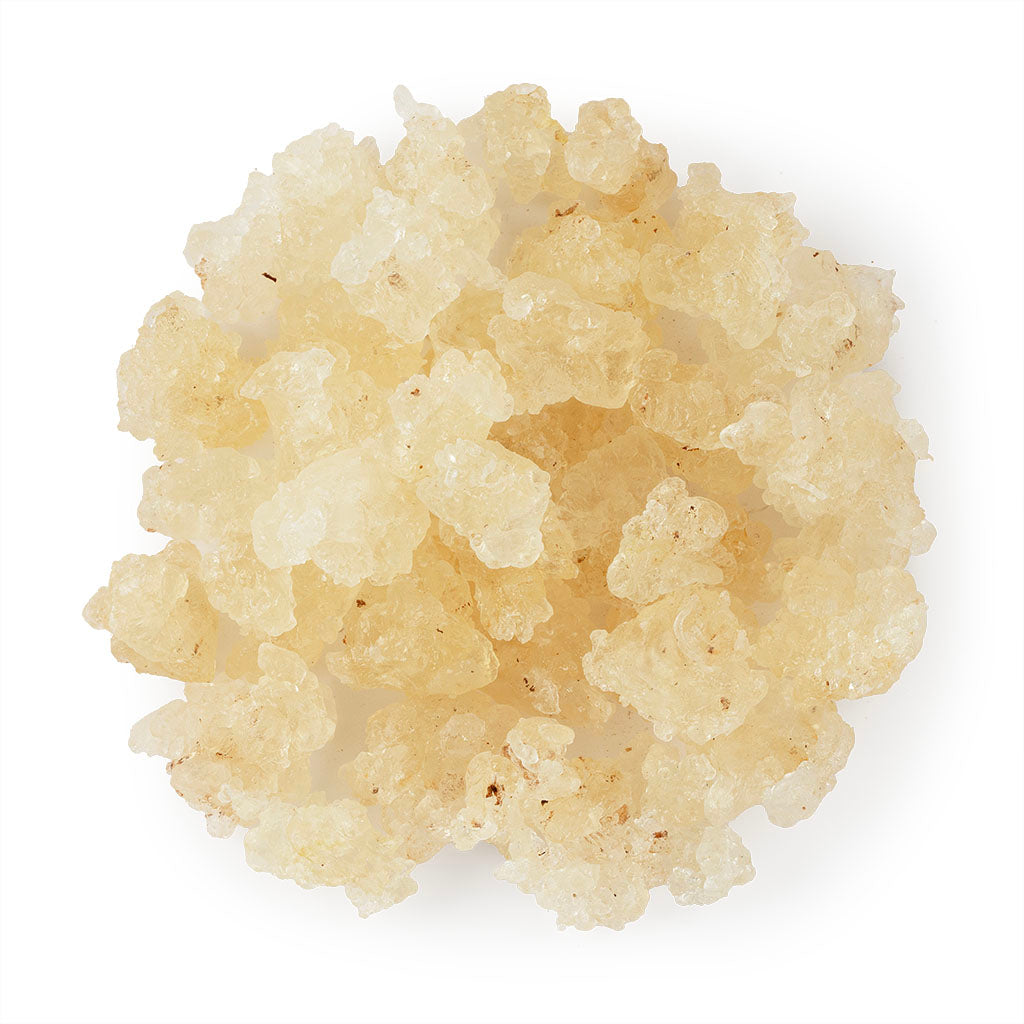 Gum Tragacanth / Xue Yan 8oz