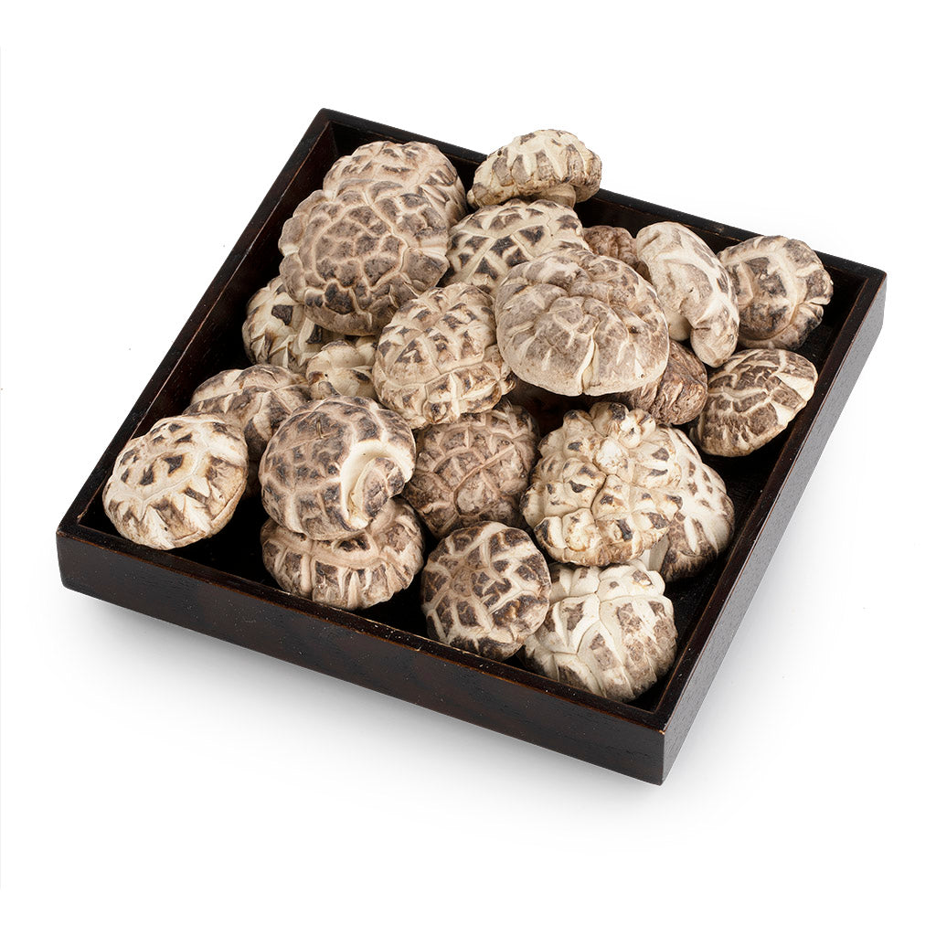 Selected Dried Mushroom Shiitake (16oz)