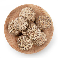 Selected Dried Mushroom 4~5cm