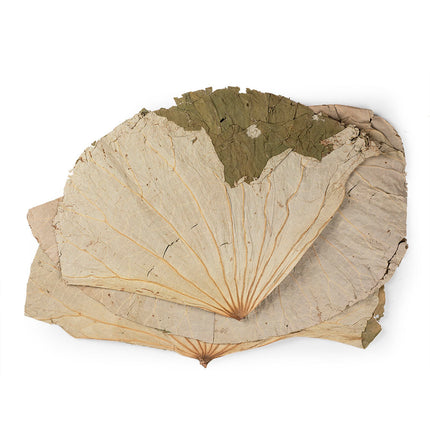 Lotus Leaf/He Ye (16oz/bag)