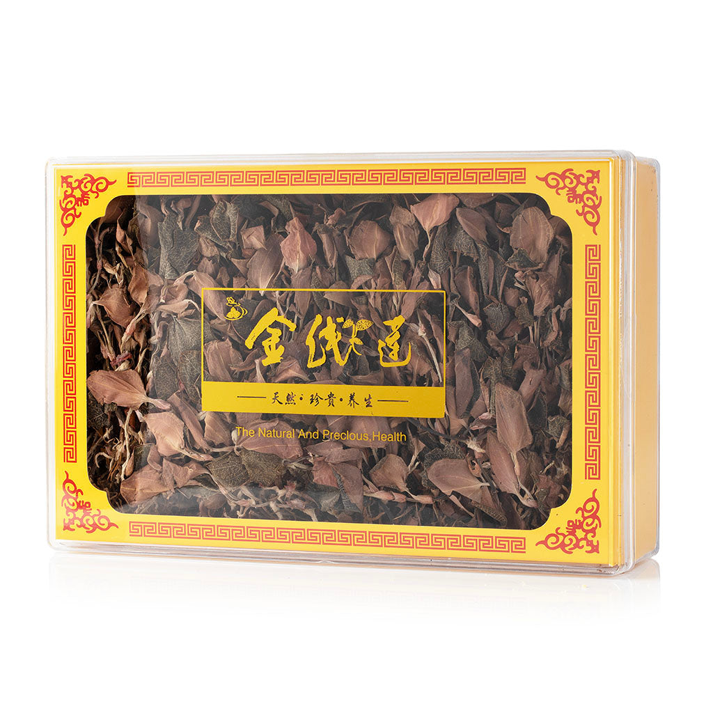 Anoectochilus / Jin Xian Lian