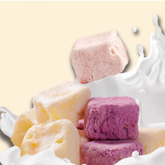 SpaceLab Blueberry Yookies