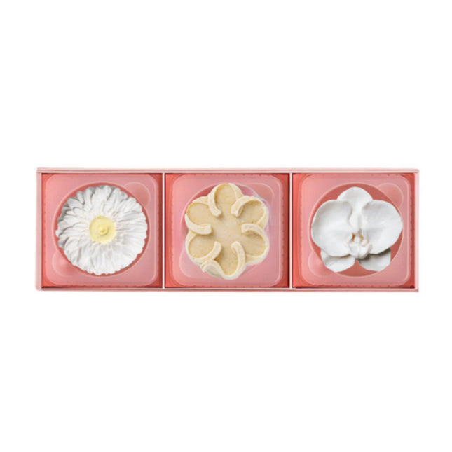 NestBloom Mother's Day Special Premium Gift Box of 3